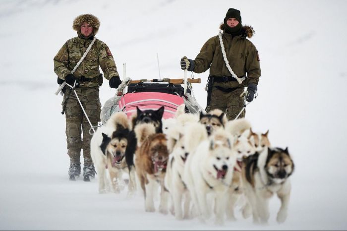 the-sirius-dog-sled-patrol-from-the-danish-arctic-command-v0-k3qnln30epla1