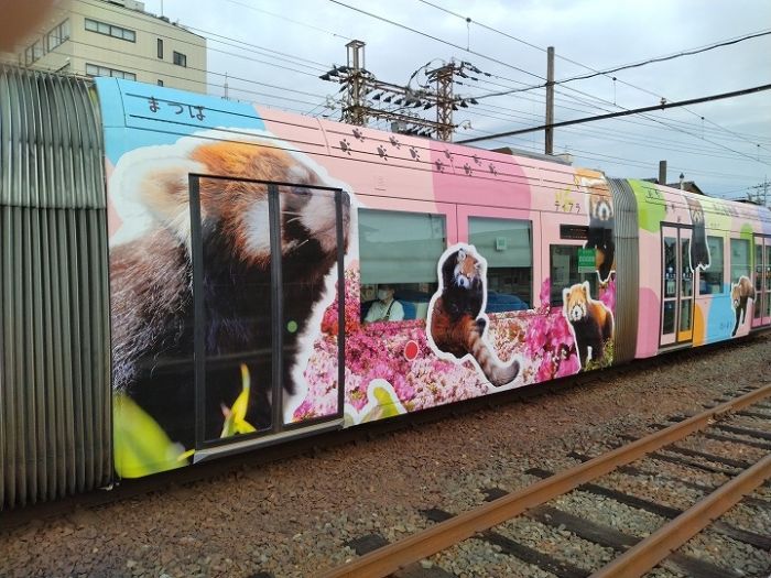 547710823_1373988111401329_6735979346279910622_n