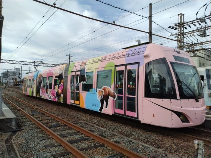 547402792_1373988164734657_2863170829153981529_n