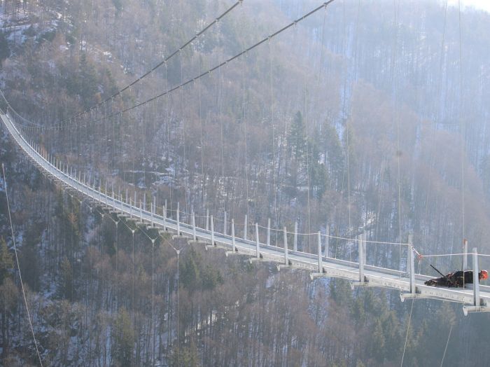 le-chantier-du-pont-suspendu-blackforestline-est-actuellement-visible-a-l-entree-du-domaine-skiable-de-todtnauberg-l-ouvrage-reliera-les-deux-versants-de-la-montagne-il-permet-aux-randonneurs-de-beneficier